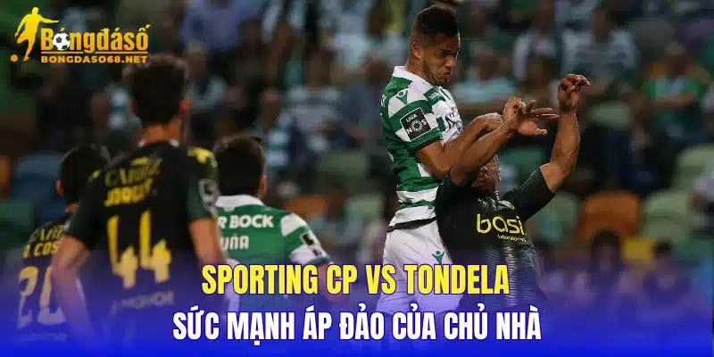 Sporting CP vs Tondela sức mạnh áp đảo của chủ nhà