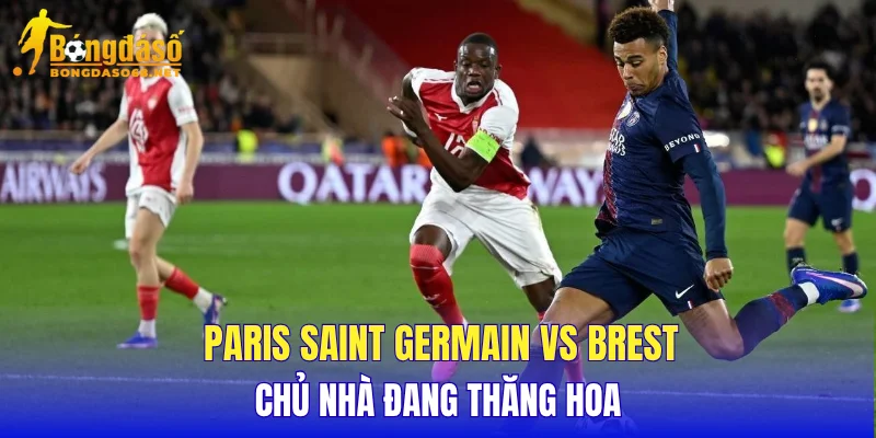 Paris Saint Germain vs Brest chủ nhà đang thăng hoa