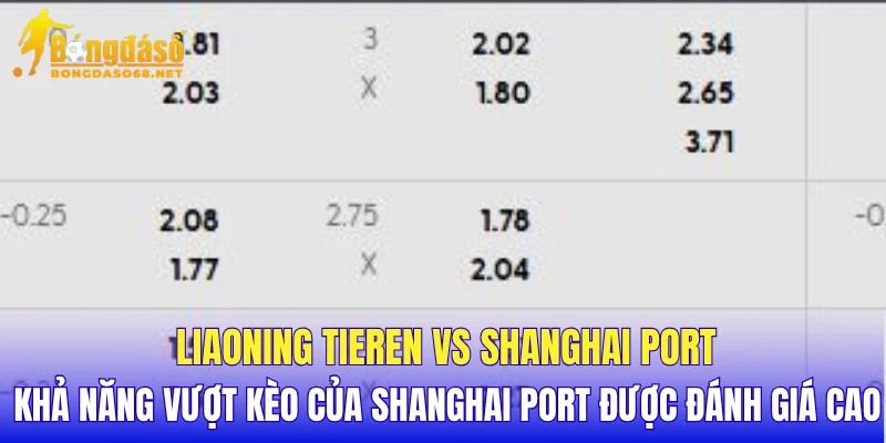 Liaoning Tieren vs Shanghai Port khả năng vượt kèo của Shanghai Port được đánh giá cao