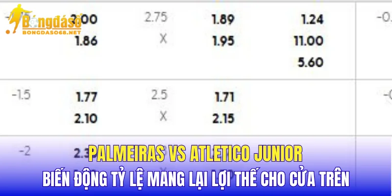 Palmeiras vs Atletico Junior biến động tỷ lệ mang lại lợi thế cho cửa trên