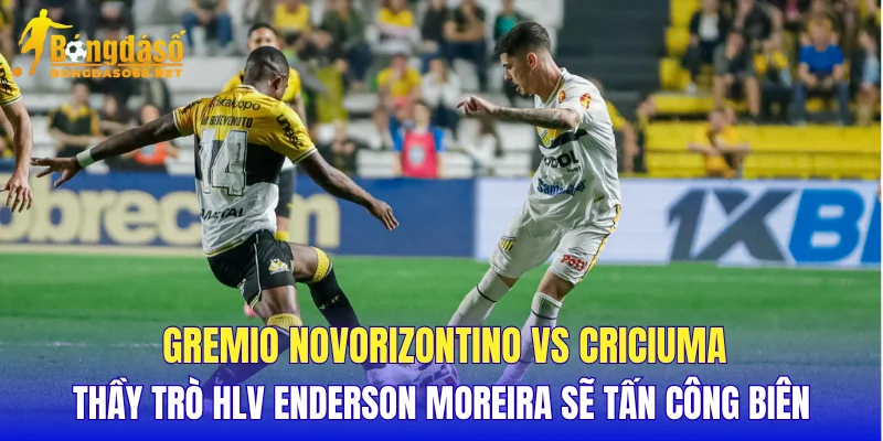 Gremio Novorizontino vs Criciuma thầy trò HLV Enderson Moreira sẽ tấn công biên