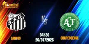 Santos vs Chapecoense